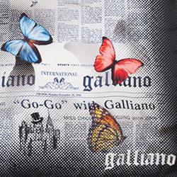 galliano ガリアーノ ニュースペーパー×バタフライ スカーフ